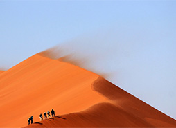 无限轰炸手机软件短信下载