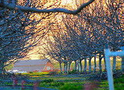 有没有直充的在线短信轰炸机网页版