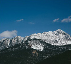 免费信息轰炸机